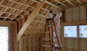 Spray Foam Insulation